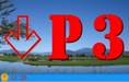 N-01-DP3.JPG