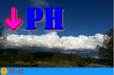 O-03-DPH.JPG